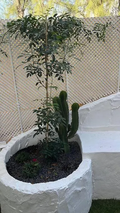 Casa Cactus Paraiso Parque Holandes Apartment